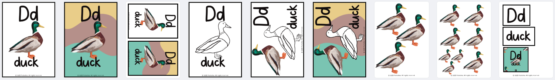 Phonics - Letter focus Dd (duck) pack